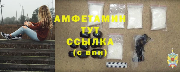 стаф Вяземский