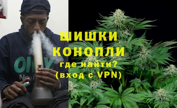 гашик Вязьма