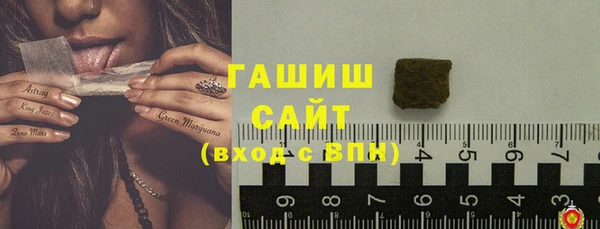 гашик Вязьма