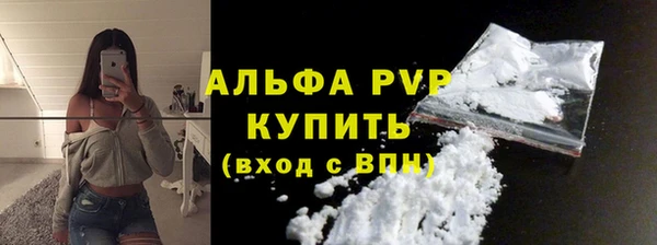 стаф Вяземский