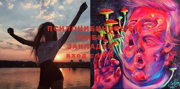 гашик Вязьма