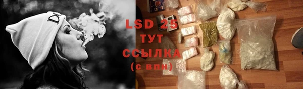 стаф Вяземский