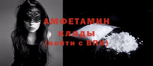 стаф Вяземский