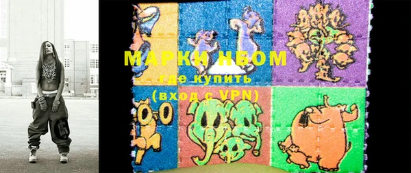 гашик Вязьма