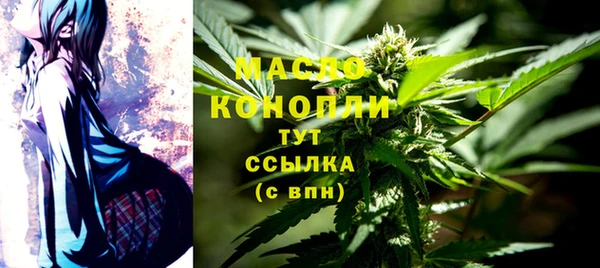 стаф Вяземский