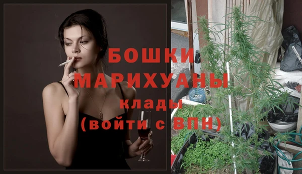 стаф Вяземский