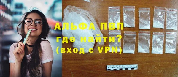 гашик Вязьма