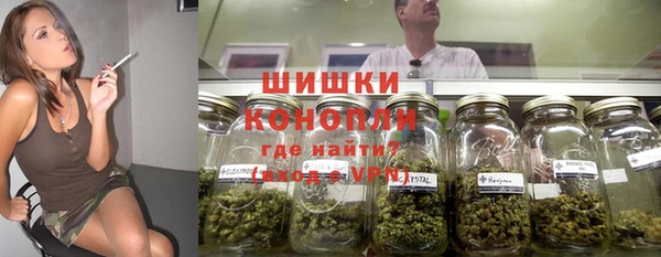 стаф Вяземский