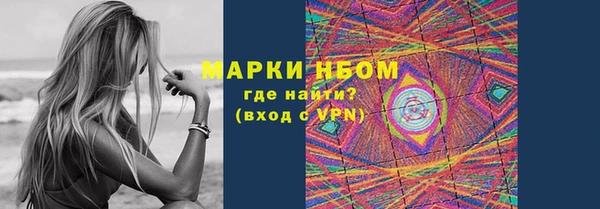 стаф Вяземский